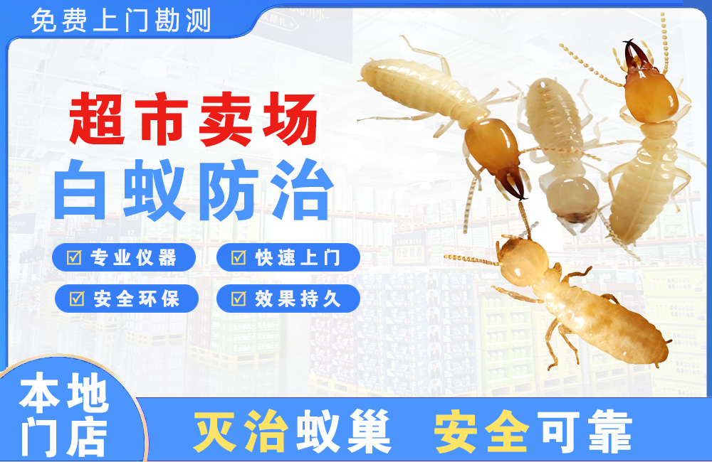 良庆超市卖场白蚁防治