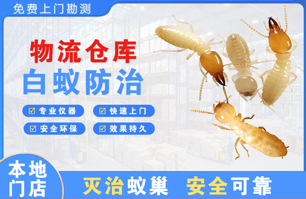 良庆物流仓库白蚁防治