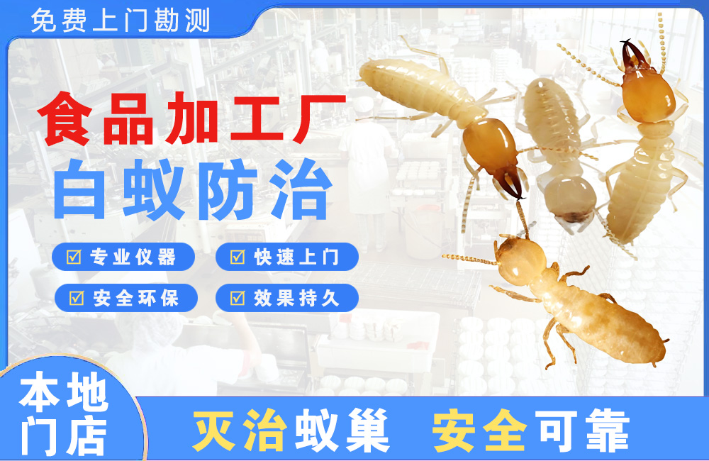 良庆食品加工厂白蚁防治