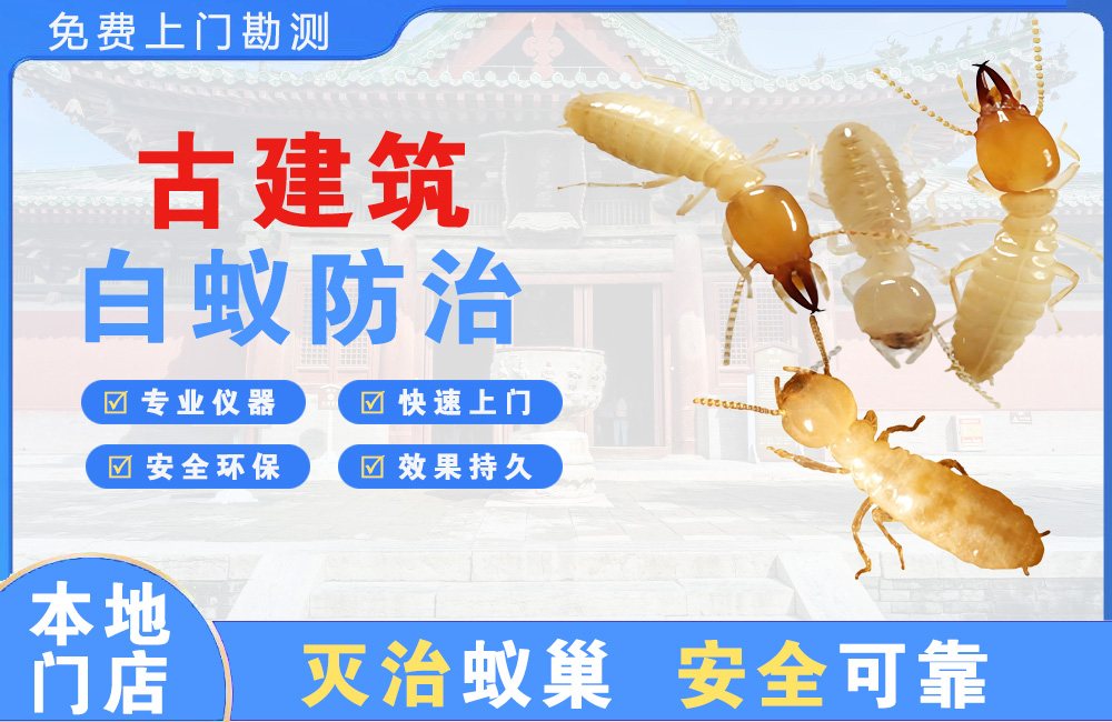良庆古建筑白蚁防治