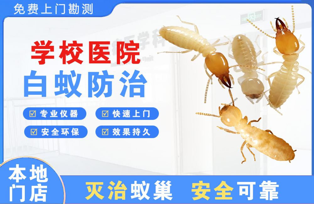 良庆学校医院白蚁防治