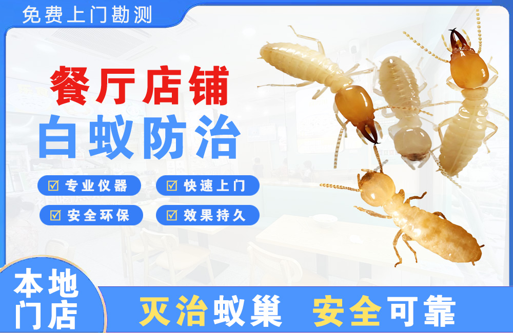 良庆餐厅店铺白蚁防治